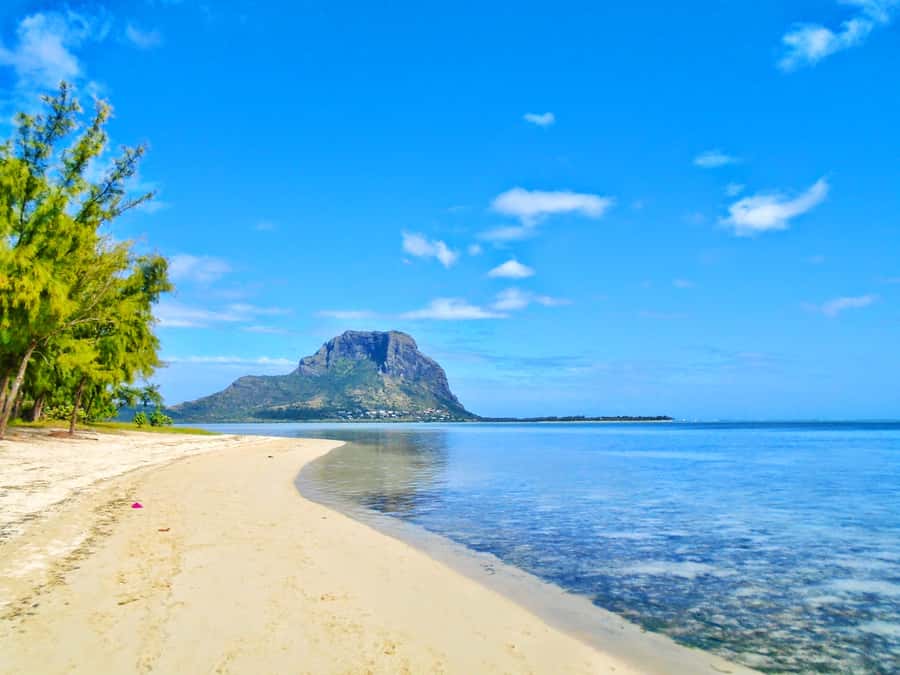 Île aux Bénitiers: Snorkeling w/Dolphins Boat Tour & Lunch - Booking tips for a smoother day