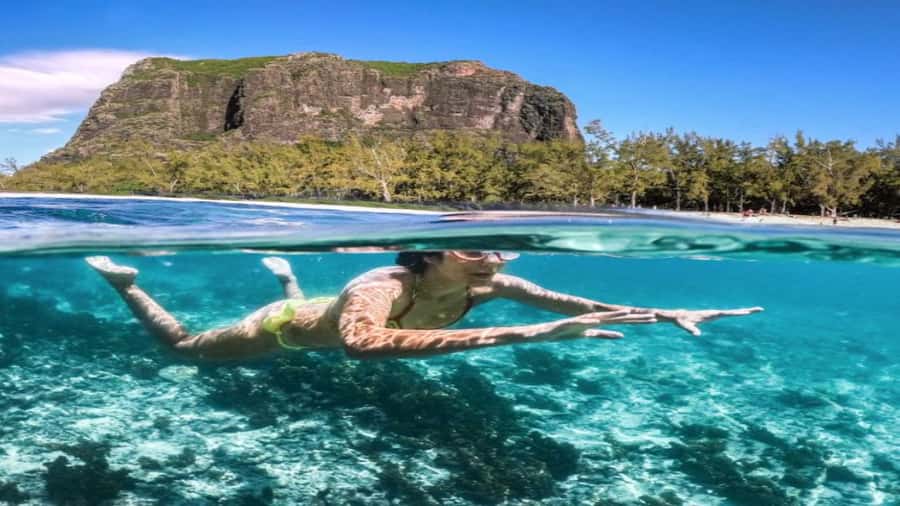 Île aux Bénitiers Snorkeling with Dolphins + Seafood Lunch - What the $80 price really buys you