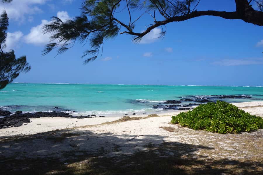 Ile Aux Cerfs Catamaran Cruise sailing from Mahebourg - Key points to know before booking