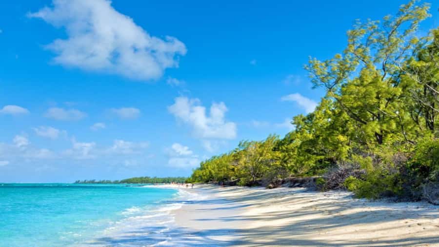 Ile Aux Cerfs Catamaran Trip w/ Lunch, Drinks & Transfer - Arriving at Ile aux Cerfs