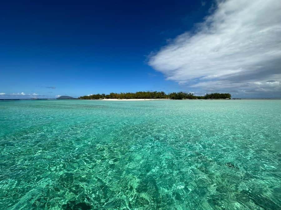 Ile aux Cerfs: Island & Waterfall Speedboat Tour with Lunch - Lunch on Ilot Mangenie