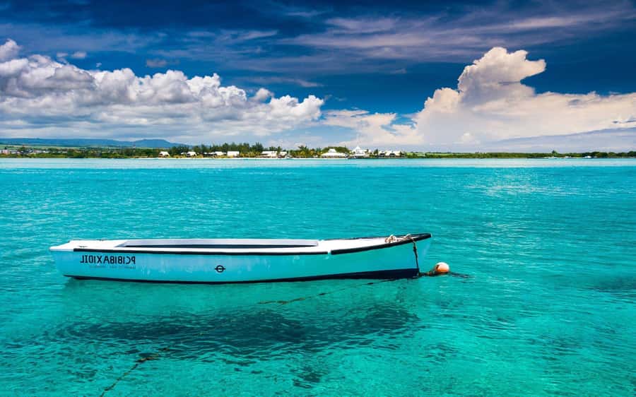 Ile aux cerfs: Private picnic, waterfall, bbq beach lunch - Ile aux Cerfs, with beach time on your terms