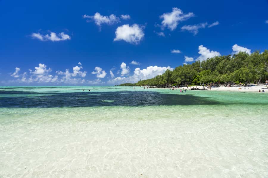 Ile aux Cerfs Speedboat Trip & Transport: Private or Shared - Why the private pickup makes this a calmer day