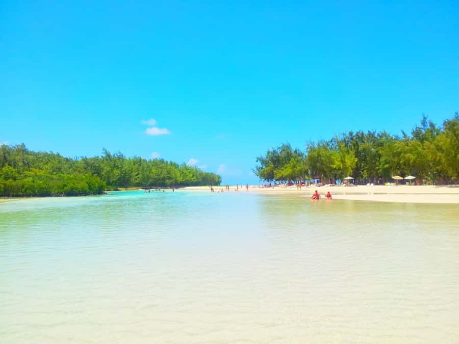 Ile aux Cerfs Speedboat Trip & Transport: Private or Shared - Should you book the Ile aux Cerfs speedboat trip?