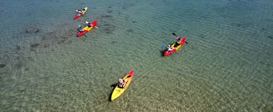 Ile d Ambre Kayaking - Key points to know before booking