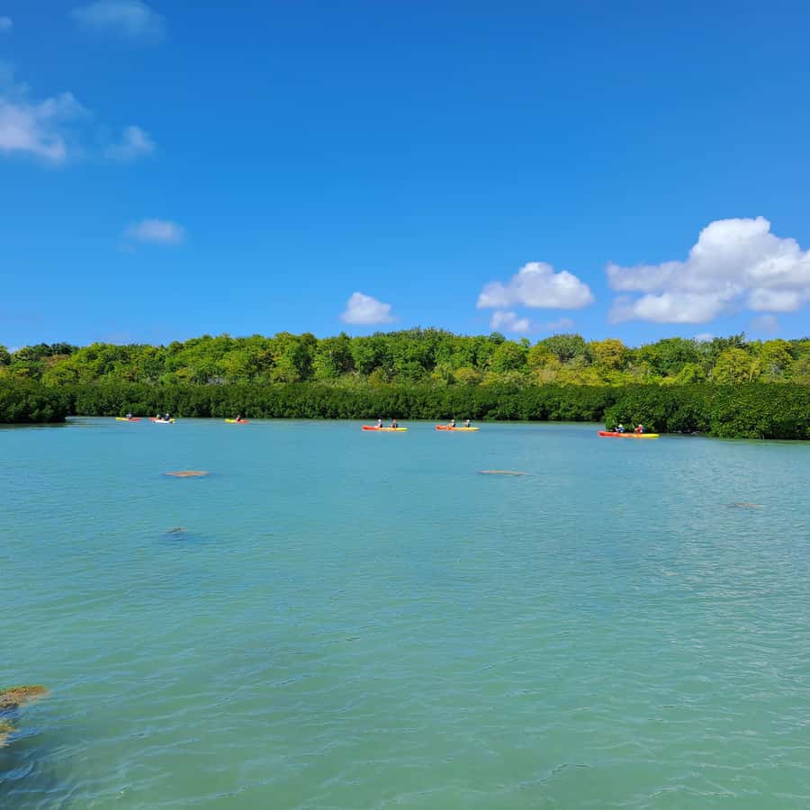 Ile d Ambre Kayaking - The swim and snorkel stop