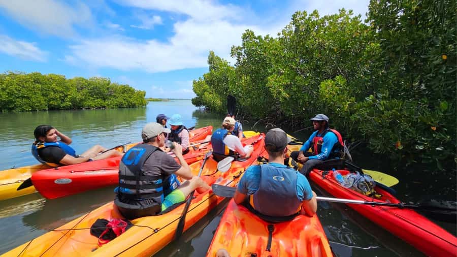 Ile d Ambre Kayaking - Guides, group size, and the feel of the outing