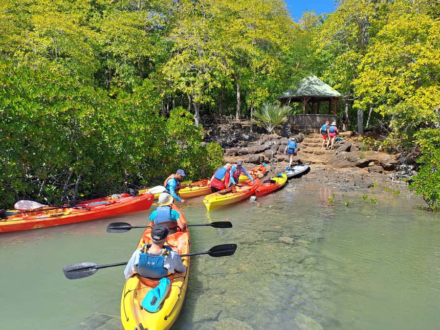 Ile d Ambre Kayaking - Who will enjoy this most
