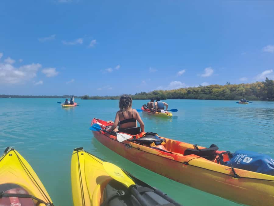 Ile d Ambre Kayaking - Paddling through the mangrove channels