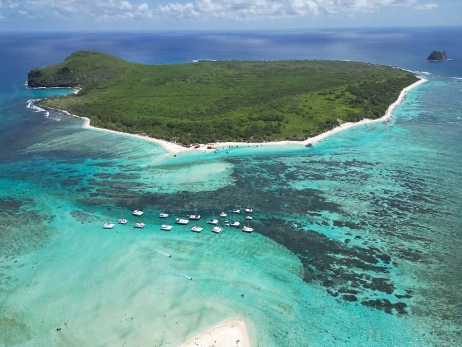 Ilot Gabriel: Catamaran Cruise & BBQ Lunch - Who should book this cruise?