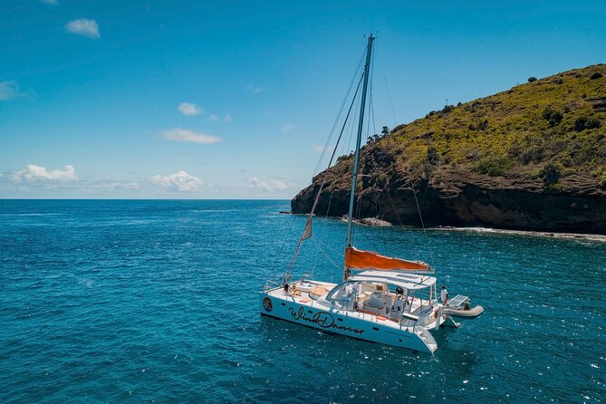 Ilot Gabriel Catamaran Cruise in Mauritius - Ile Plate, swimming, and snorkeling