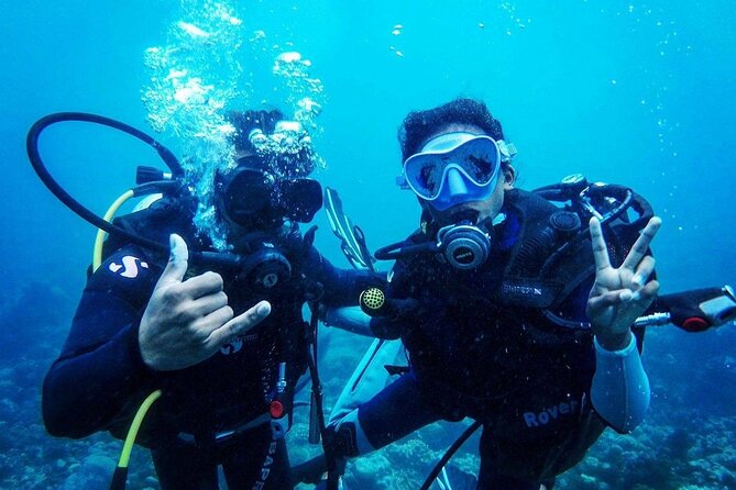 Join us for your first bubbles ! - Meeting Mauritius underwater life under close supervision