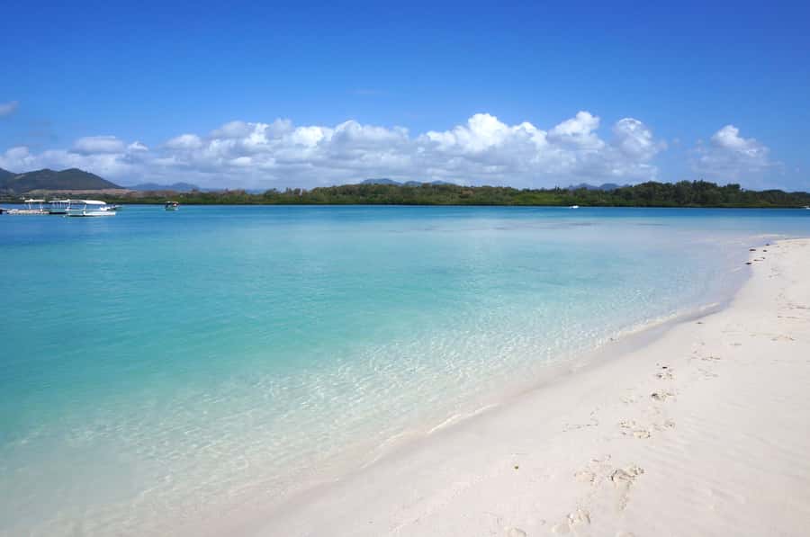 La Preneuse: Dolphin Swimming and Snorkeling Speedboat Trip - Speedboat travel along Mauritius’s west coast