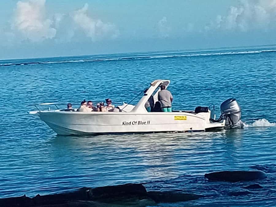 La Preneuse: Dolphin Watching and Snorkeling Speedboat Tour - The 15-minute lagoon snorkeling stop