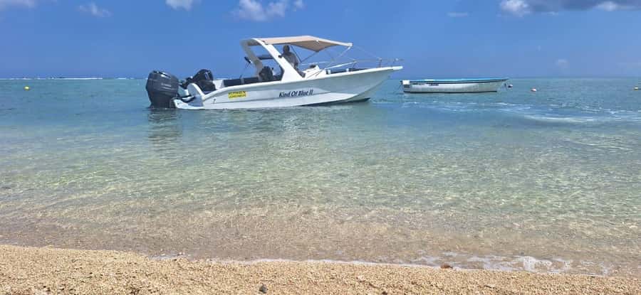 La Preneuse: Dolphin Watching and Snorkeling Speedboat Tour - What the group size and boat traffic mean