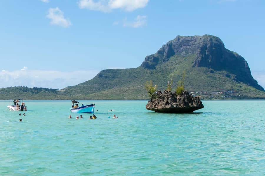 La Preneuse: Dolphin Watching and Snorkeling Speedboat Tour - Who should book this La Preneuse outing?