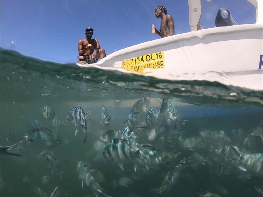 La Preneuse: Dolphin Watching and Snorkeling Speedboat Tour - The first 20 minutes: speed across the west coast