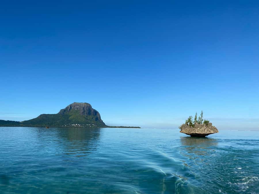 LE MORNE DOLPHINS SUNRISE TRIP - Snorkeling in the Mauritius lagoon