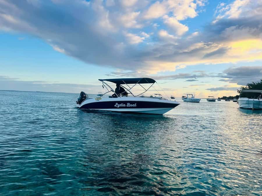 Le Morne: Private Boat Tour Dolphin-Watching & swimming - Key points before you book