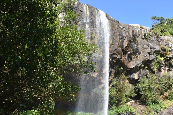 Les septs Cascades Tamarind Falls - What the guide adds to the hike