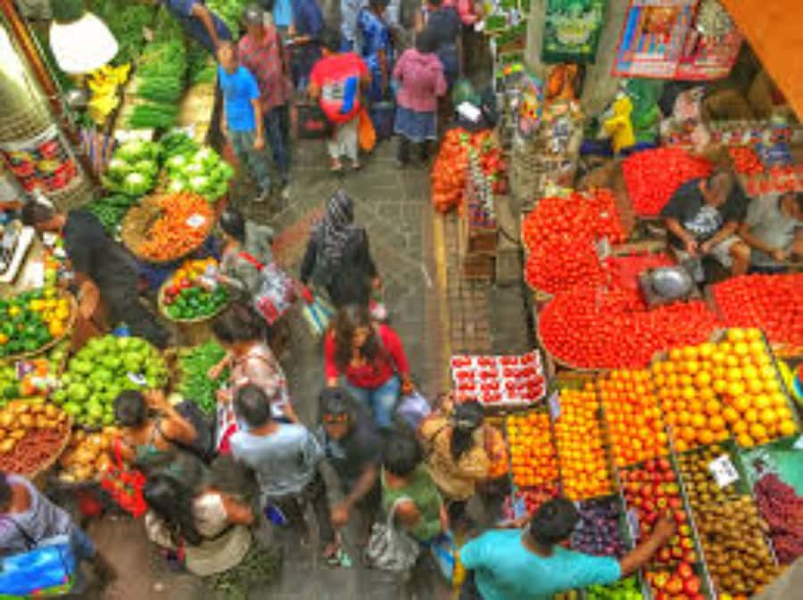 local Market,Botanical garden,Rum tasting & authentic Lunch - What $225 per person gets you