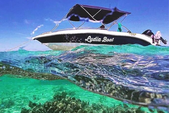 Lydia Boat Mauritius :Private boat tour:Whales&Dolphins encounter - Quick Takeaways