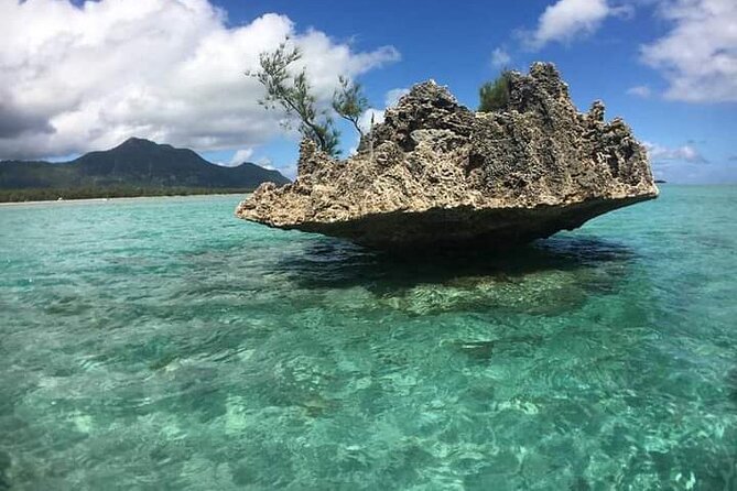 Lydia Boat Mauritius :Private boat tour:Whales&Dolphins encounter - What $225.93 Per Person Buys You