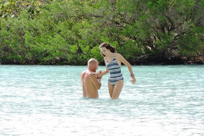 Marvelous Ile aux Cerf island: Speed Boat, Parasailing, Lunch & GRSE waterfall - Who Will Enjoy This Day Most?