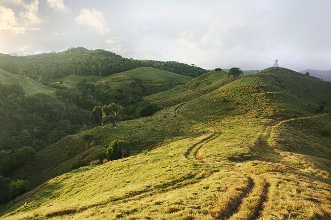Mauritius: 2 Hours Buggy Ride - Bel Ombre Nature Reserve - Meeting at Bel Ombre Nature Reserve