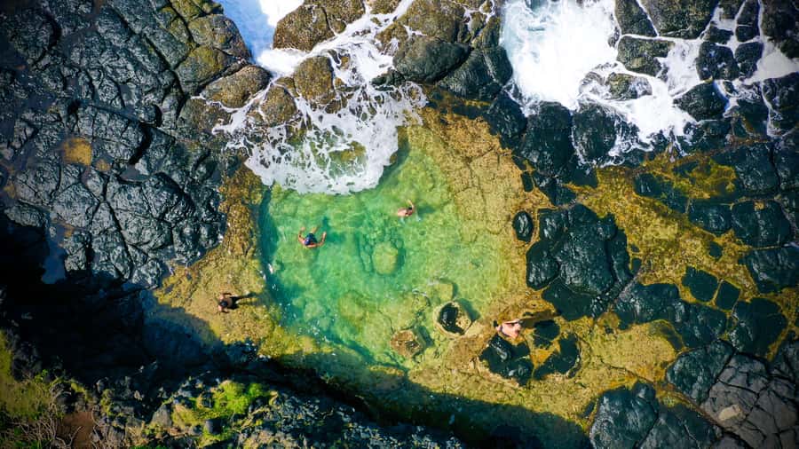 Mauritius: 3-Hour Hiking the Wild South Excursion - Key points to know before you book