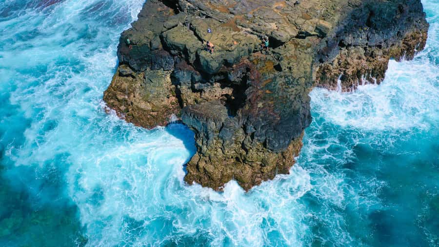 Mauritius: 3-Hour Hiking the Wild South Excursion - Starting at Gris Gris Public Beach