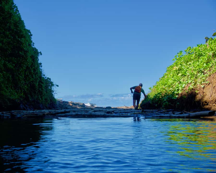 Mauritius: 3-Hour Hiking the Wild South Excursion - Forest Trails, Rivers, and Wet Shoes