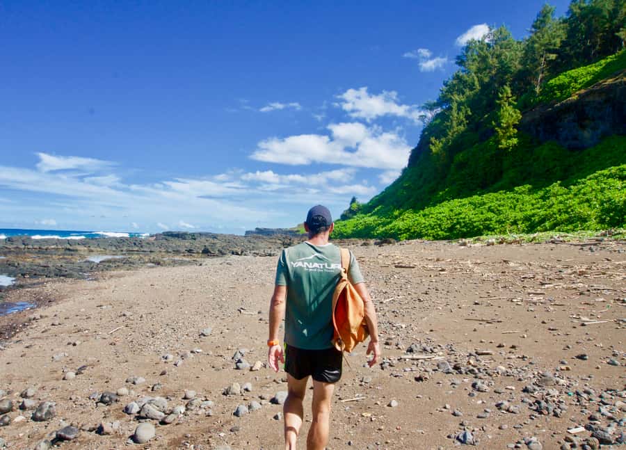 Mauritius: 3-Hour Hiking the Wild South Excursion - Practical Preparation for the Trail