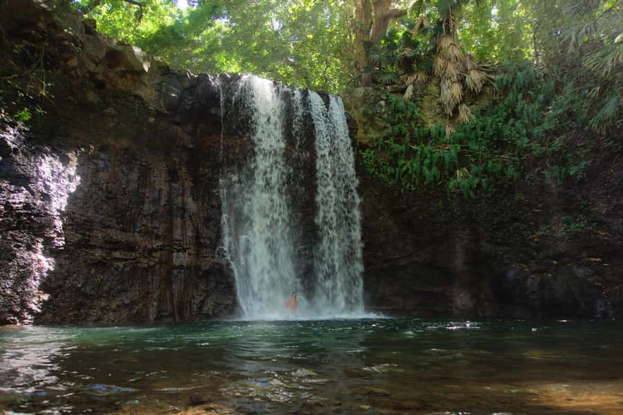 Mauritius: 3-Hour Hiking the Wild South Excursion - A Three-Hour Route Through the Wild South