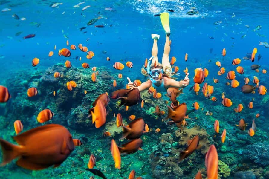 Mauritius: 5 East Coast Islands Tour with Snorkeling & Lunch - Key points before you book
