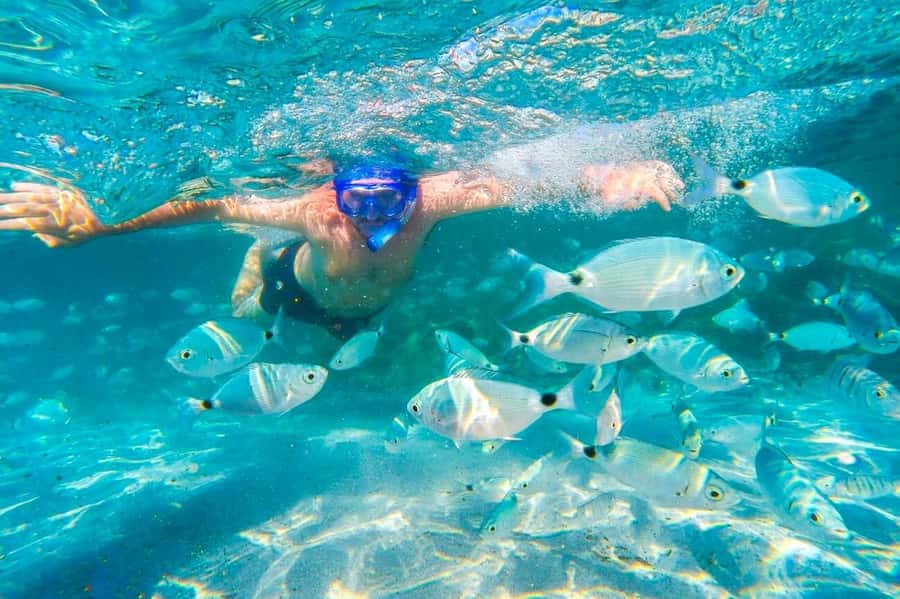 Mauritius: 5 East Coast Islands Tour with Snorkeling & Lunch - Ile aux Fouquets and Ile de la Passe tell the history