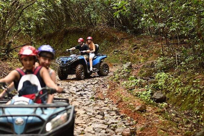 Mauritius Adventure tour - A private six-hour sampler of southern Mauritius