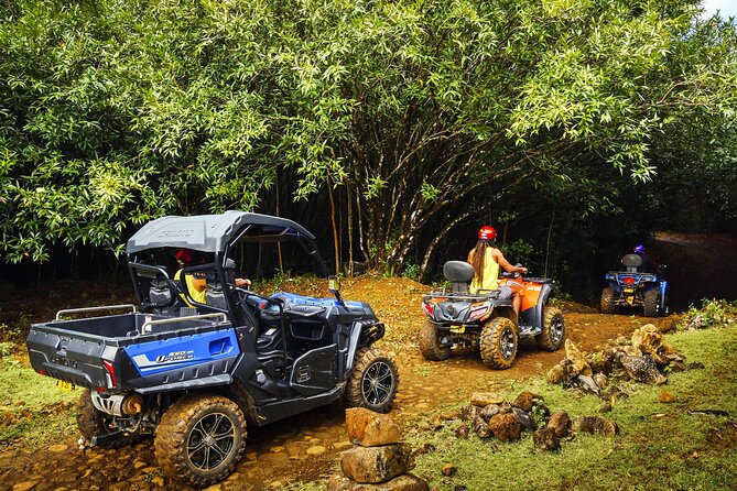 Mauritius Adventure tour - One hour at La Vanille Nature Park