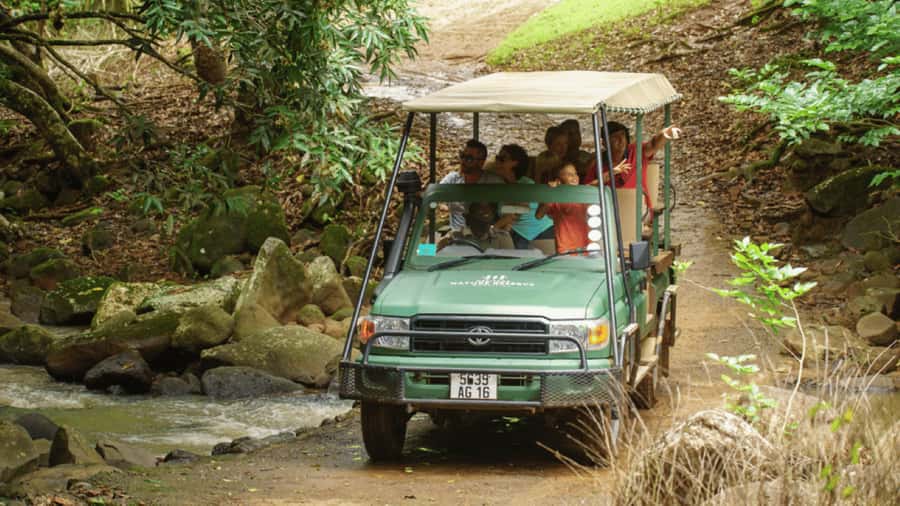 Mauritius: Bel Ombre Nature Reserve 4x4 Safari Adventure - Why Bel Ombre feels different from the beach resorts