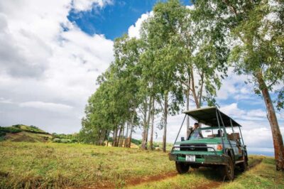 Bel Ombre Nature Reserve 4×4 Safari Adventure