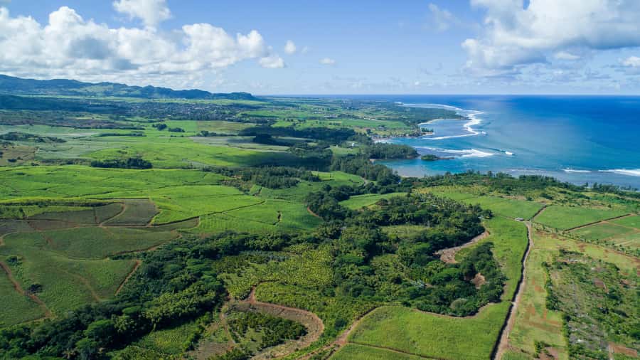 Mauritius: Bel Ombre Nature Reserve Quad Bike Tour - Why Bel Ombre is a good place for a quad tour