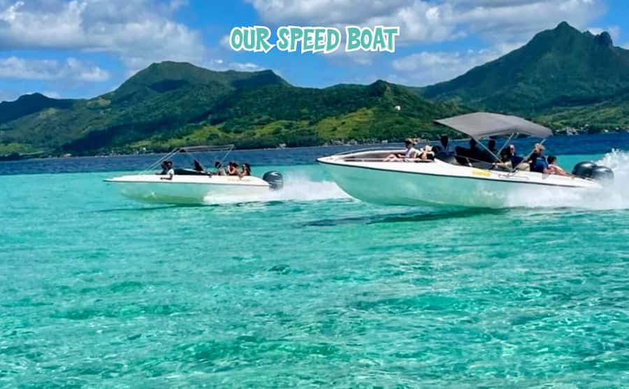 Mauritius: Benitier Island - Swim Dolphins - Speedboat & BBQ - An early start on Mauritius’s west coast