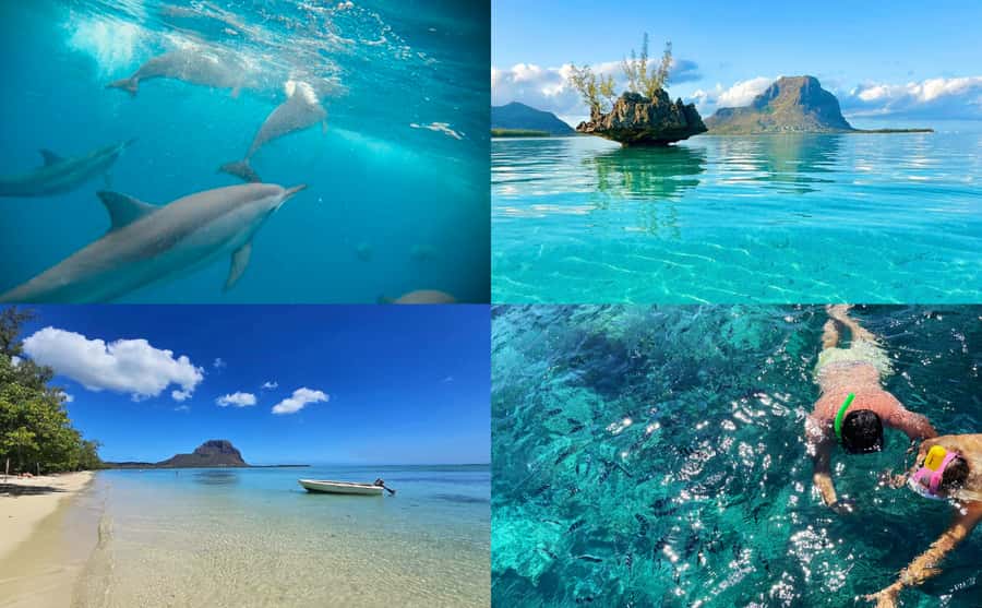 Mauritius: Benitier Island - Swim Dolphins - Speedboat & BBQ - Snorkeling around reefs and the secret stop