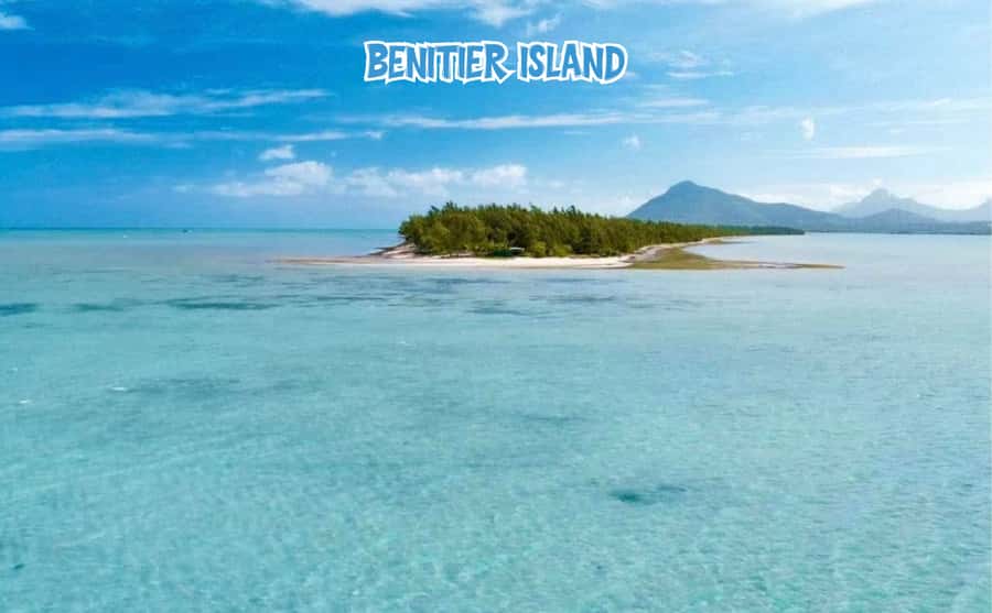 Mauritius: Benitier Island - Swim Dolphins - Speedboat & BBQ - Environmental concerns around the dolphin swim