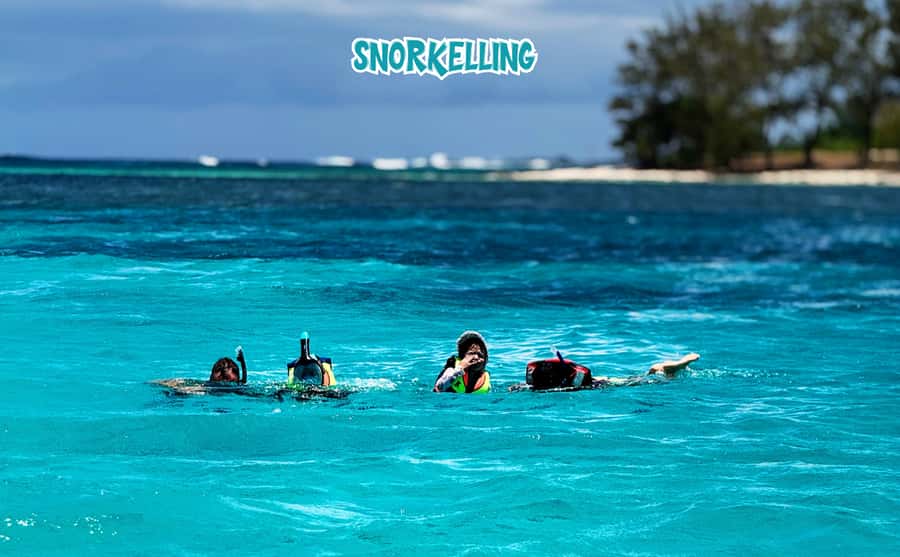 Mauritius: Benitier Island - Swim Dolphins - Speedboat & BBQ - Who will enjoy this Mauritius boat day