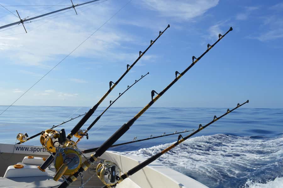 Mauritius: Big Game Fishing Trip from Grand Baie - Cruising toward Coin de Mire