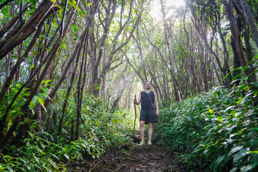Mauritius: Black River Gorges Guided Hike - Key points at a glance