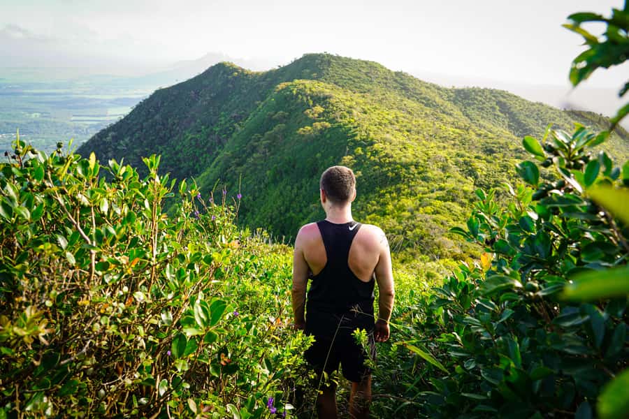Mauritius: Black River Gorges Guided Hike - The trail experience and physical effort