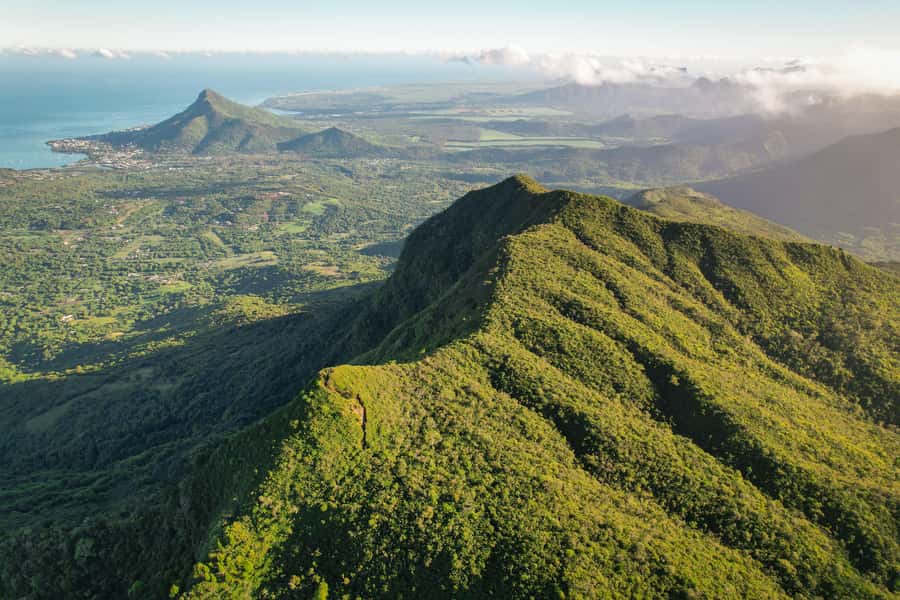 Mauritius: Black River Gorges Guided Hike - Why the guide adds real value
