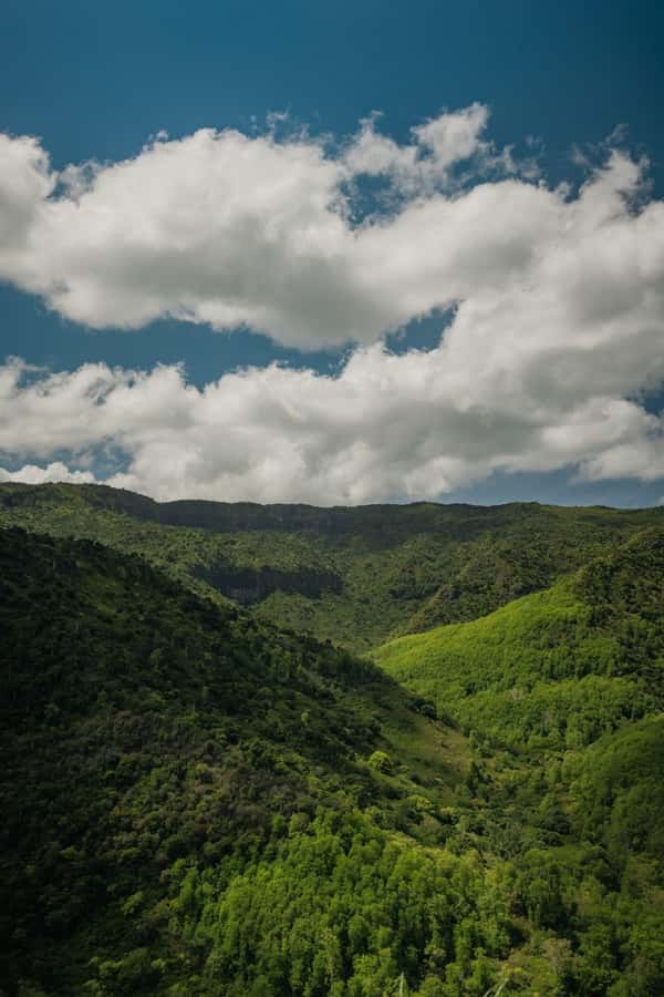 Mauritius: Black River Gorges National Park 3-Hour Hike - Key points to know before you go